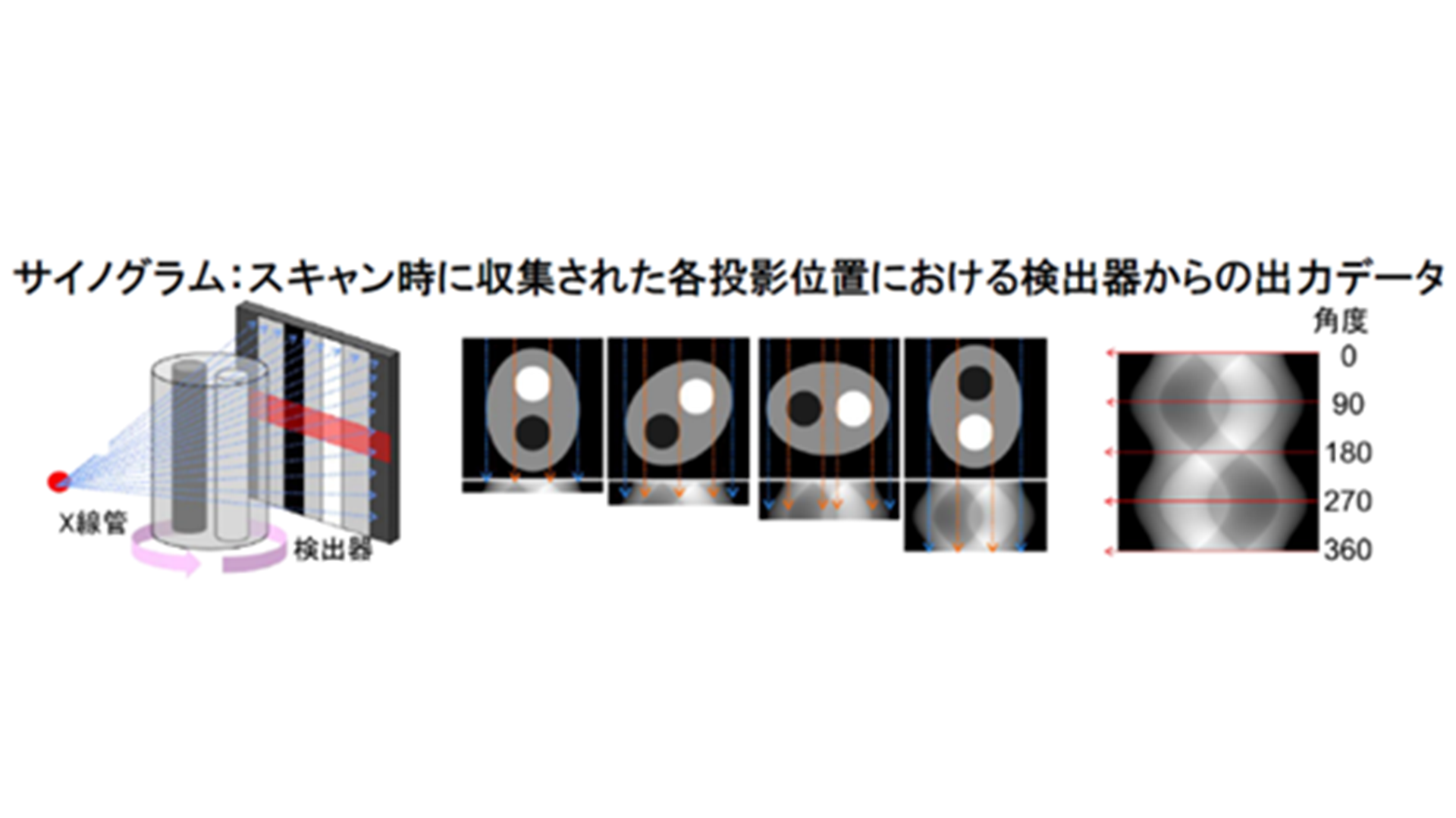 サイノグラムとは？