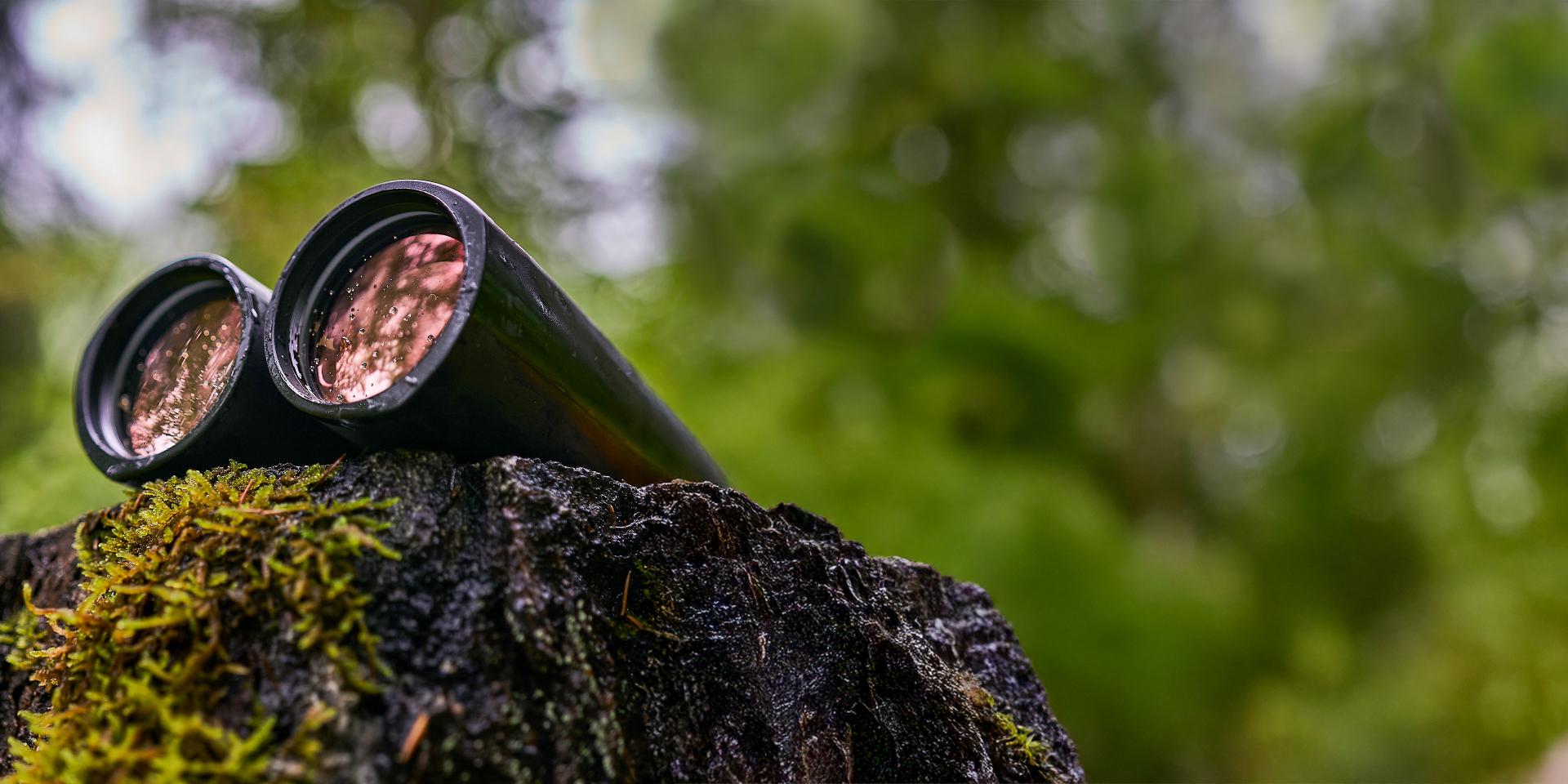 A pair of ZEISS binoculars rests on a moss-covered tree stump in a forest setting.