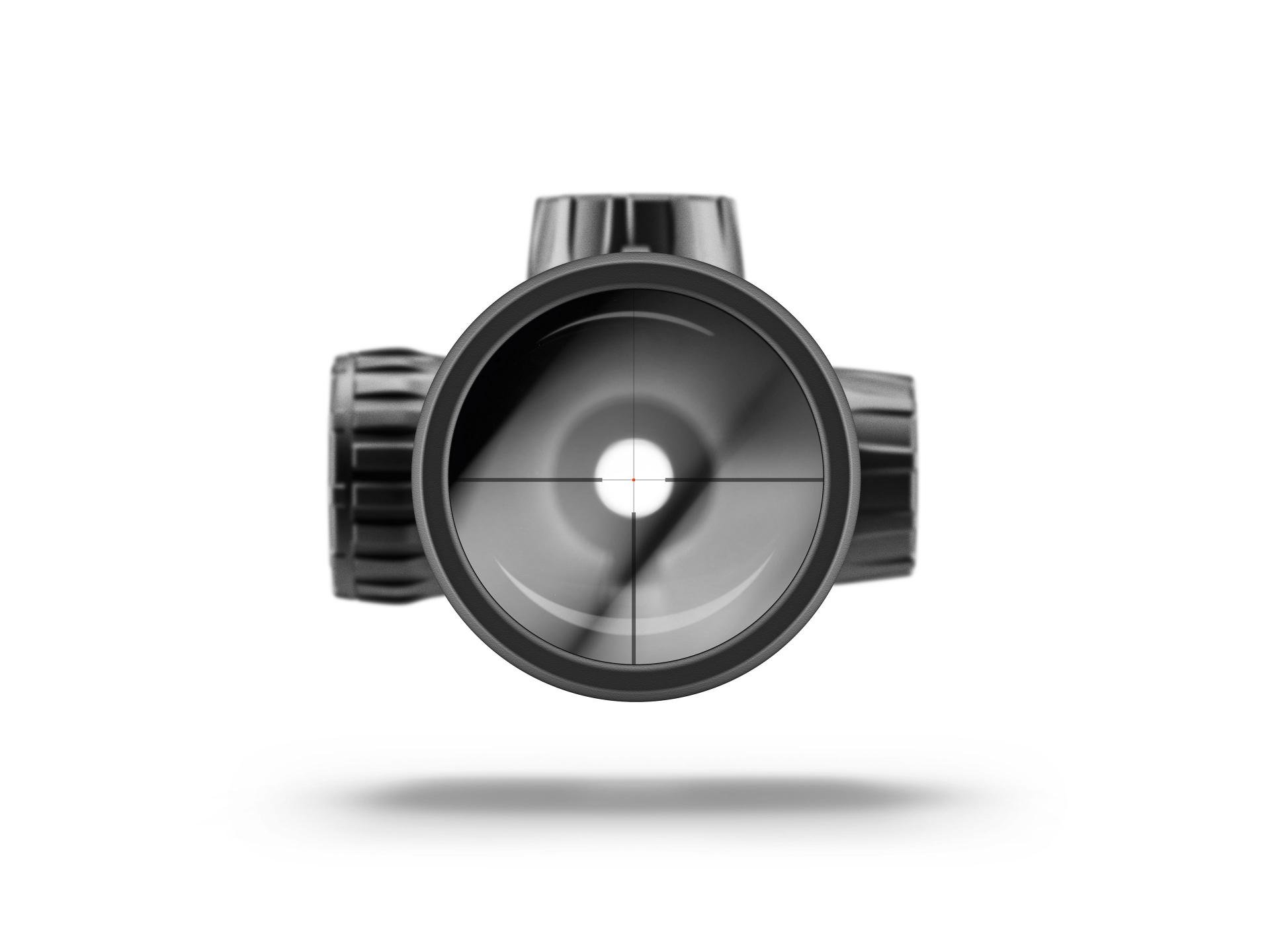 Front view through the ZEISS riflescope showing illuminated reticle with crosshairs.