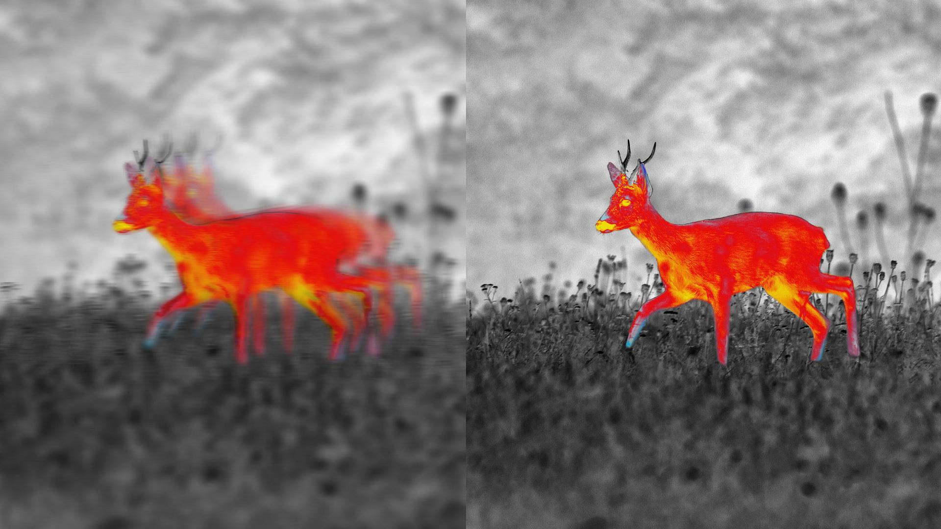 Side-by-side thermal images of a deer in a field, showing a blurred view on the left and a sharp, high-contrast view on the right, demonstrating ZEISS imaging technology.