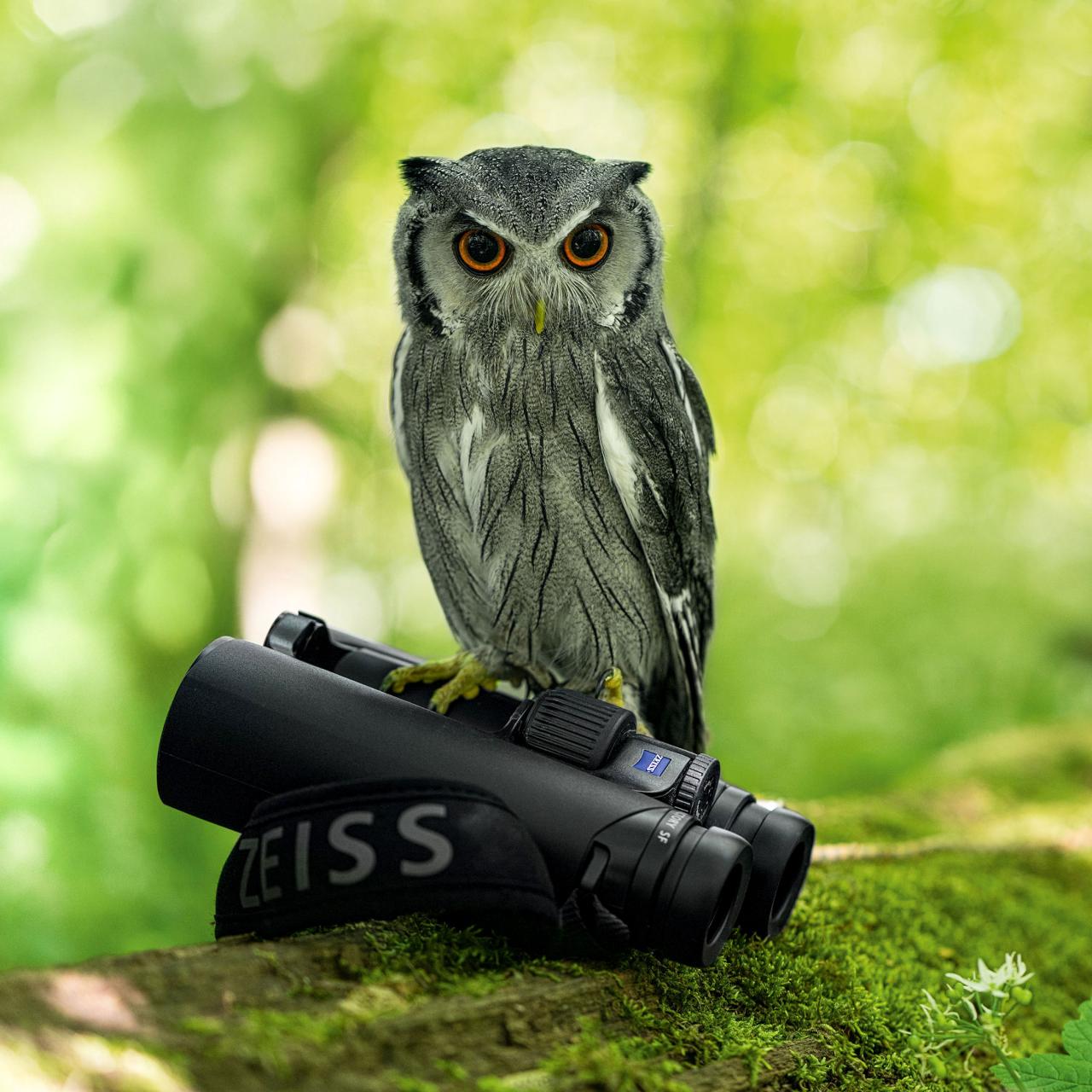 ZEISS Victory SF | ZEISSの最高峰モデル