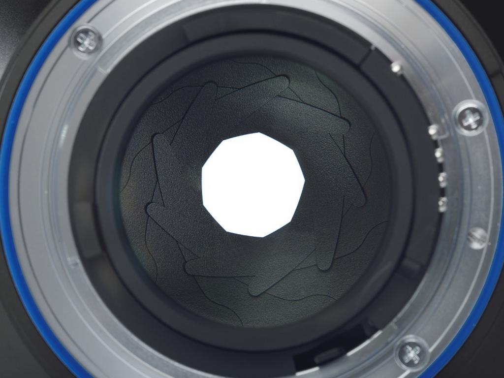 ZEISS Milvus レンズ | 細部まで捉える