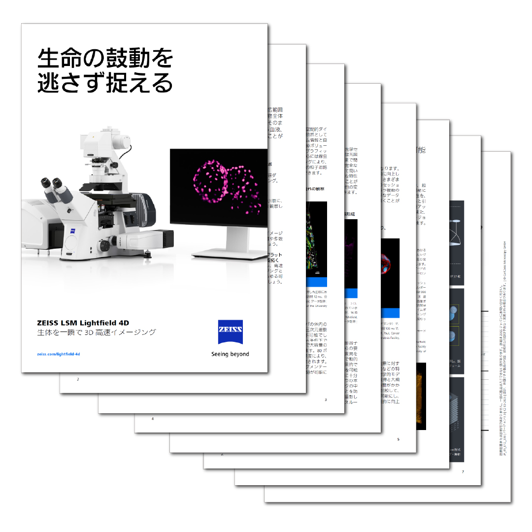 ZEISS LSM with Lightfield 4D